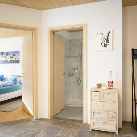 Apartment Chasa Chavrioel *